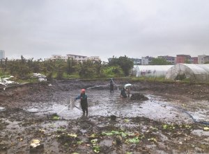 岑溪河道鱼塘清淤